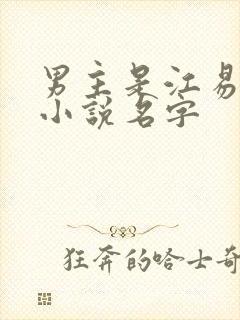 男主是江易淮的小说名字