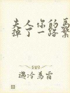 夫人你的马甲又掉了一路繁花