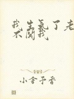 我生气了老公也不哄我封面