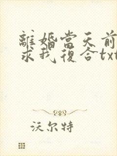 离婚当天前夫跪求我复合txt下载