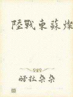 陆战东苏灿全文