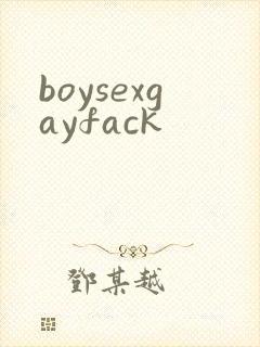 boysexgayfack封面