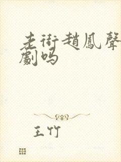 老街赵凤声是短剧吗封面