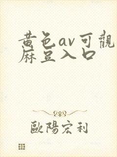 黄色av可观看麻豆入口封面