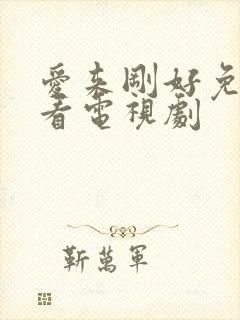 爱来刚好免费观看电视剧