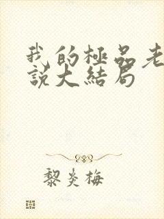 我的极品老婆小说大结局