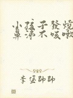 小孩子发烧不流鼻涕不咳嗽吃什么药封面