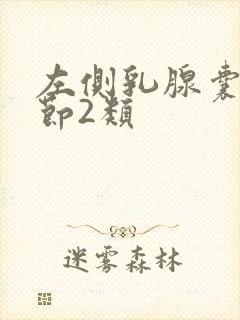 左侧乳腺囊性结节2类封面