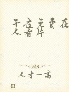 午夜免费在线成人看片