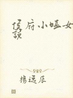 侯府小哑女 小说