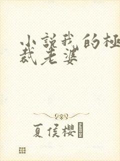 小说我的极品总裁老婆