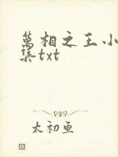 万相之王小说全集txt