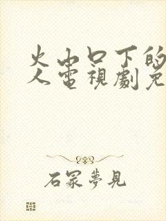 火山口下的两口人电视剧免费观看