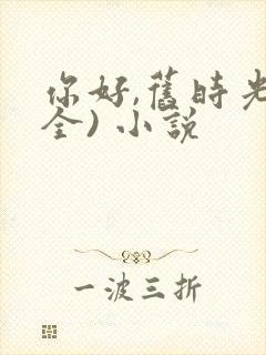 你好,旧时光(全) 小说