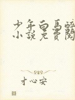 少年白马醉春风小说免费阅读免费封面