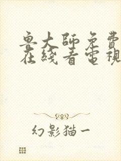 鲁大师免费高清在线看电视剧