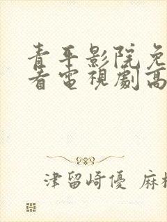 青平影院免费观看电视剧高清西瓜