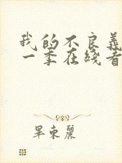 我的不良义姐第一季在线看免费封面