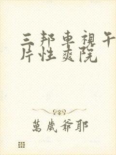 三邦车视午夜大片性爽院封面