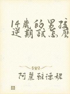 14岁的男孩叛逆期该怎么教