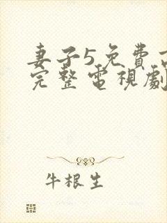 妻子5免费高清完整电视剧