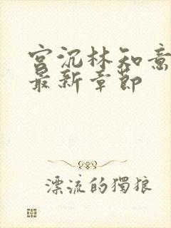 宫沉林知意小说最新章节