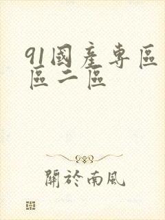 91国产专区一区二区