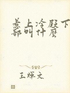 惹上冷殿下第二部叫什么