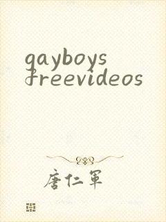 gayboysfreevideos
