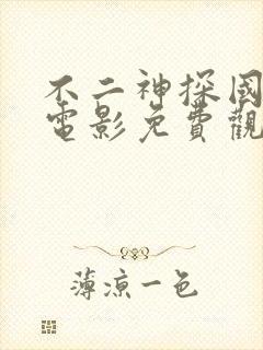 不二神探国语版电影免费观看