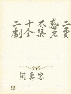 二十不惑二电视剧全集免费观看完整版封面