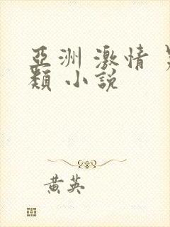 亚洲 激情 另类 小说封面