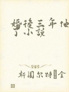 婚后三年他变心了小说