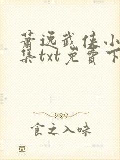 萧逸武侠小说全集txt免费下载