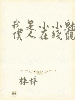 我是小小魅魔的仆人在线观看新动漫