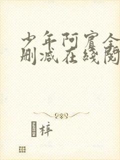 少年阿宾全文无删减在线阅读