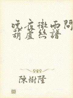 晚夜微雨问海棠葫芦丝谱封面