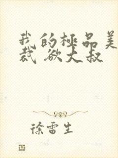 我的极品美女总裁 欲大叔