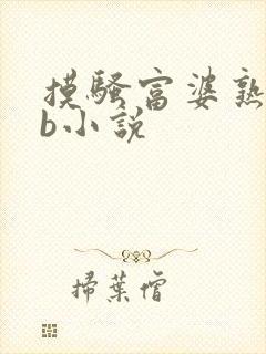 摸骚富婆熟妇大b小说