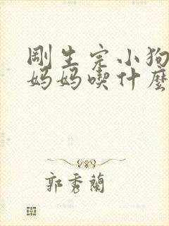 刚生完小狗的狗妈妈吃什么下奶