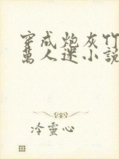 穿成炮灰竹马的万人迷小说封面