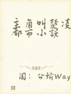 主角叫楚凌霄的都市小说