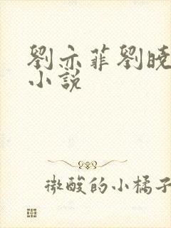 刘亦菲刘晓莉双小说