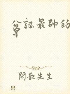 公认最帅的男明星