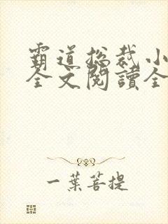 霸道总裁小娇妻全文阅读全文