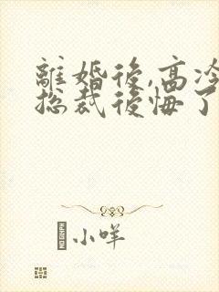 离婚后,高冷女总裁后悔了txt封面