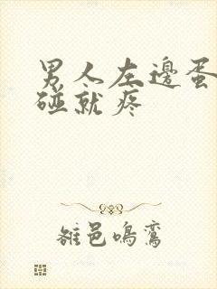 男人左边蛋蛋一碰就疼