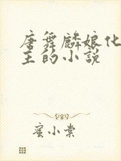 唐舞麟娘化当女主的小说