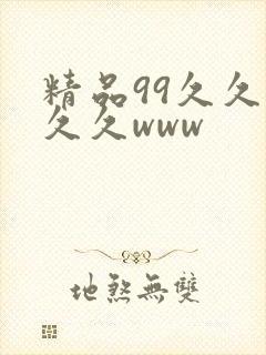 精品99久久久久久www封面