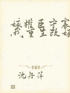 嫁权臣守寡一生,我重生改嫁